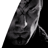 icon3 st.gif